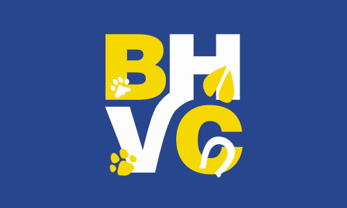 Brandon Hills Veterinary Clinic Logo