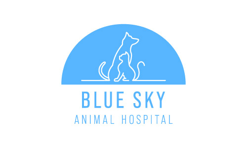 DVM Jobs In Canada